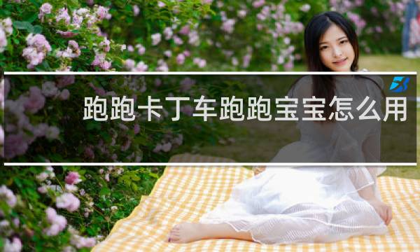跑跑卡丁车跑跑宝宝怎么用