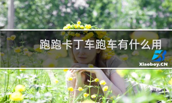 跑跑卡丁车跑车有什么用