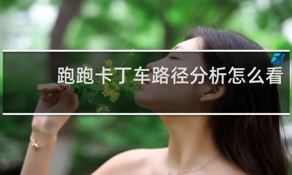 跑跑卡丁车路径分析怎么看