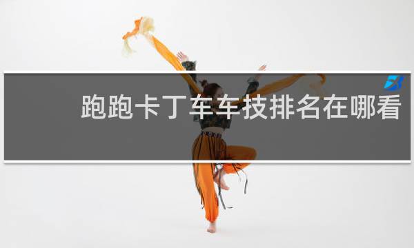 跑跑卡丁车车技排名在哪看