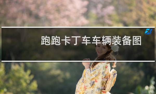 跑跑卡丁车车辆装备图