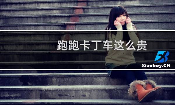 跑跑卡丁车这么贵