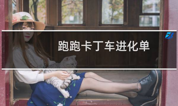 跑跑卡丁车进化单