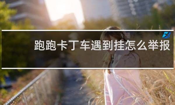 跑跑卡丁车遇到挂怎么举报