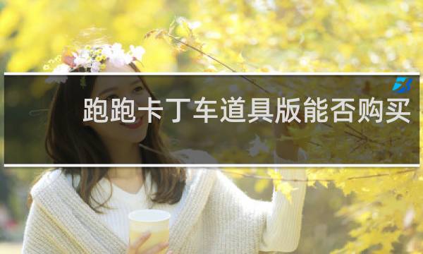 跑跑卡丁车道具版能否购买