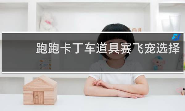 跑跑卡丁车道具赛飞宠选择