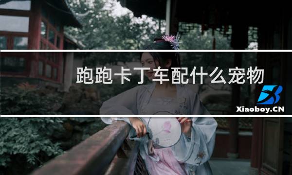跑跑卡丁车配什么宠物