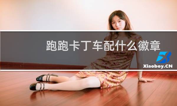 跑跑卡丁车配什么徽章