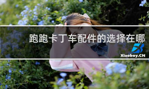 跑跑卡丁车配件的选择在哪