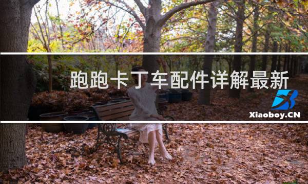 跑跑卡丁车配件详解最新