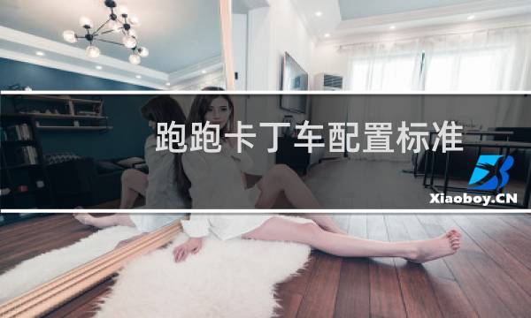跑跑卡丁车配置标准