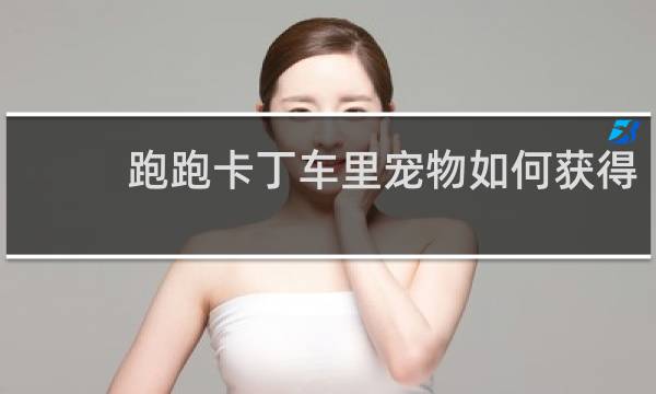 跑跑卡丁车里宠物如何获得