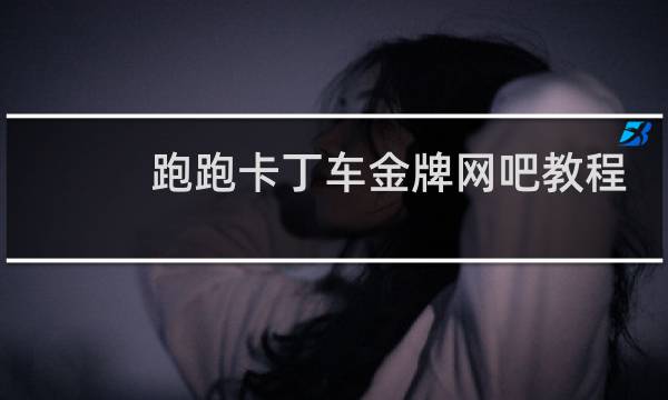 跑跑卡丁车金牌网吧教程