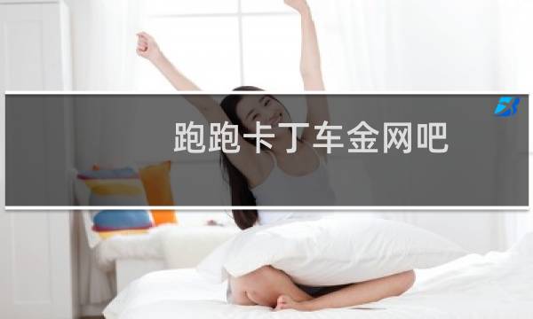 跑跑卡丁车金网吧