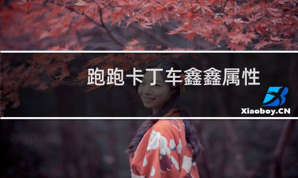 跑跑卡丁车鑫鑫属性