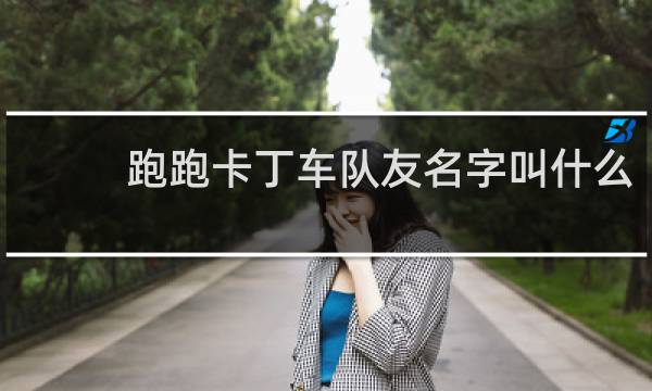 跑跑卡丁车队友名字叫什么