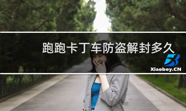 跑跑卡丁车防盗解封多久