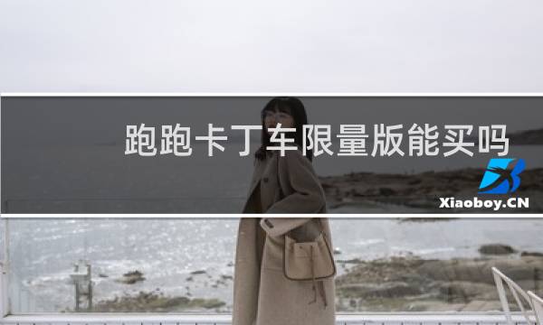 跑跑卡丁车限量版能买吗