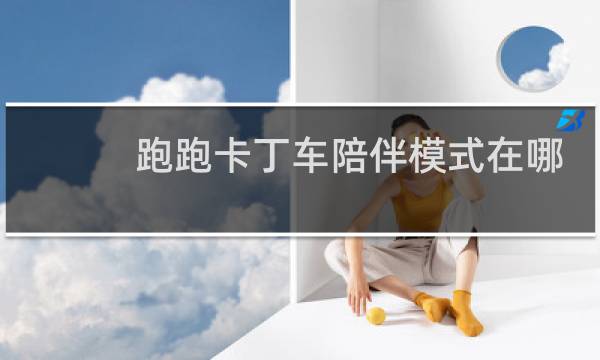 跑跑卡丁车陪伴模式在哪