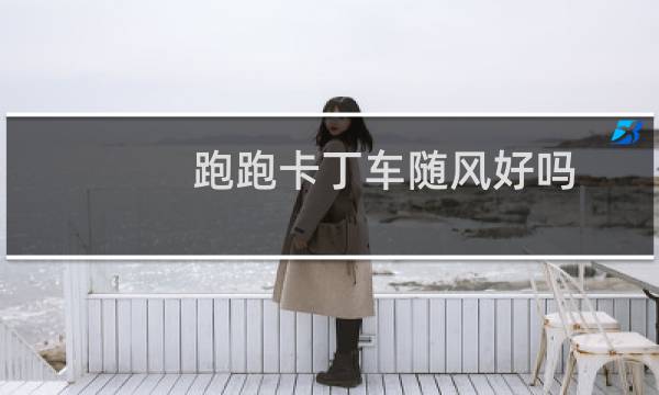 跑跑卡丁车随风好吗