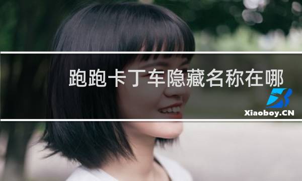跑跑卡丁车隐藏名称在哪