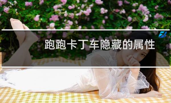 跑跑卡丁车隐藏的属性