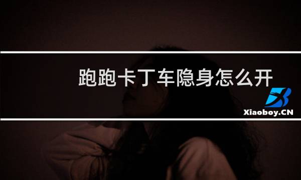 跑跑卡丁车隐身怎么开