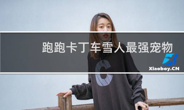 跑跑卡丁车雪人最强宠物