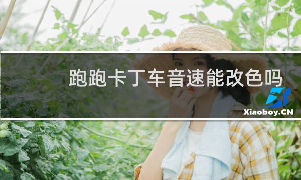 跑跑卡丁车音速能改色吗