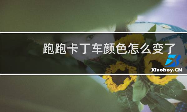 跑跑卡丁车颜色怎么变了