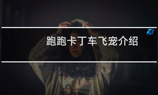 跑跑卡丁车飞宠介绍