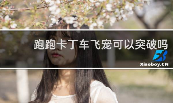 跑跑卡丁车飞宠可以突破吗