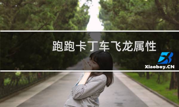 跑跑卡丁车飞龙属性