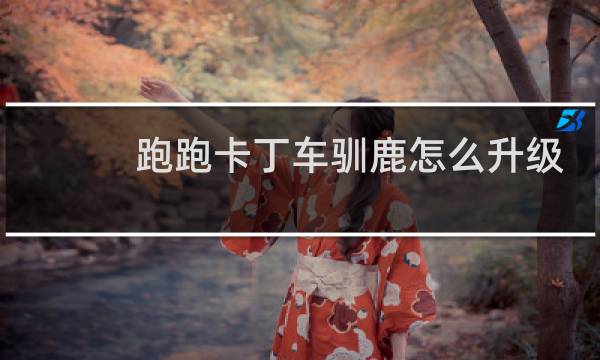 跑跑卡丁车驯鹿怎么升级