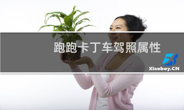 跑跑卡丁车驾照属性