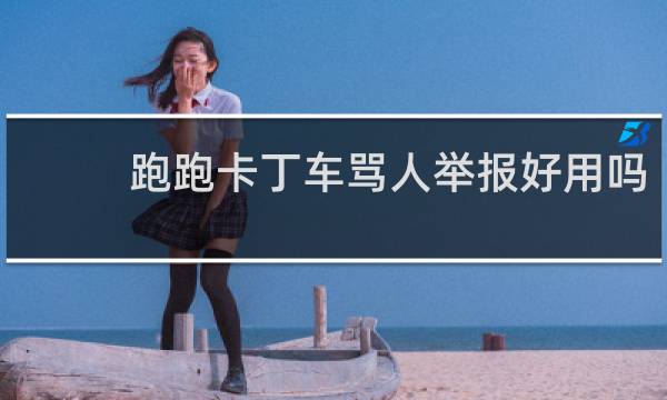 跑跑卡丁车骂人举报好用吗