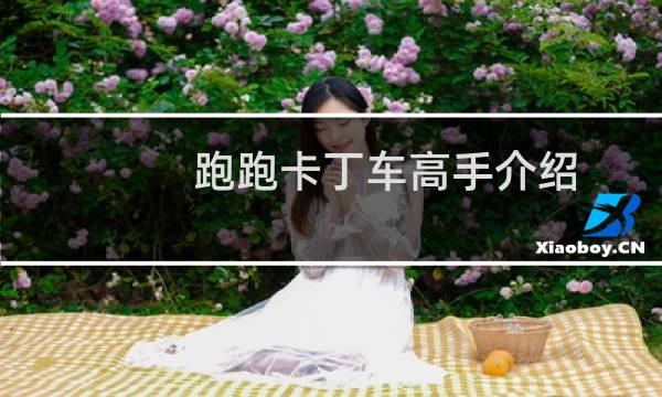 跑跑卡丁车高手介绍