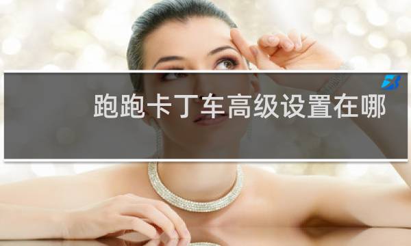 跑跑卡丁车高级设置在哪