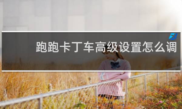 跑跑卡丁车高级设置怎么调
