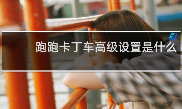 跑跑卡丁车高级设置是什么