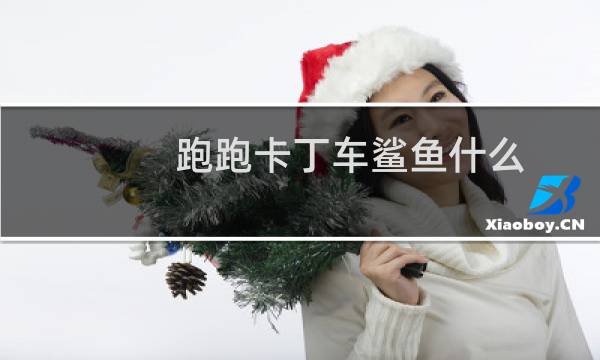 跑跑卡丁车鲨鱼什么