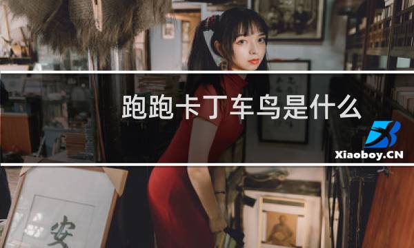 跑跑卡丁车鸟是什么