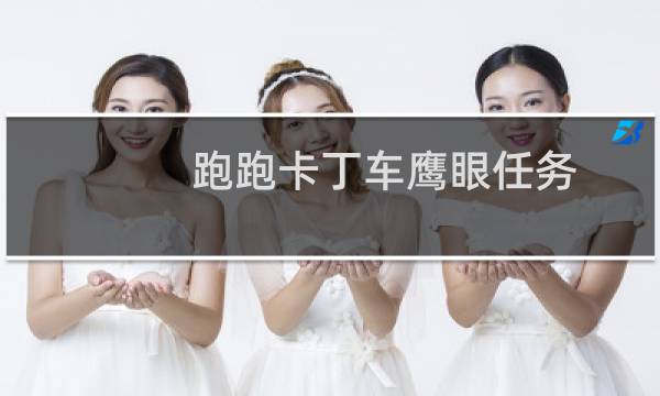 跑跑卡丁车鹰眼任务