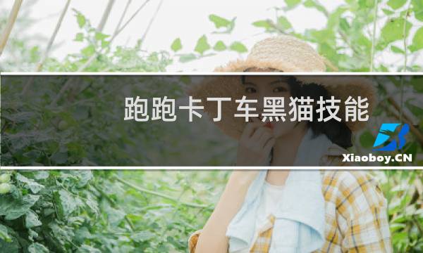 跑跑卡丁车黑猫技能
