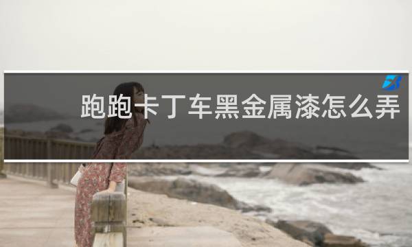 跑跑卡丁车黑金属漆怎么弄