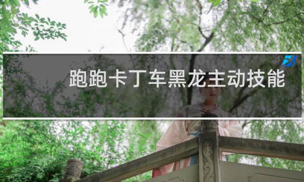 跑跑卡丁车黑龙主动技能