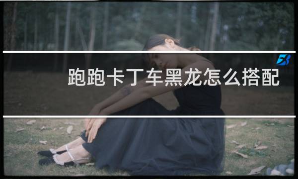 跑跑卡丁车黑龙怎么搭配