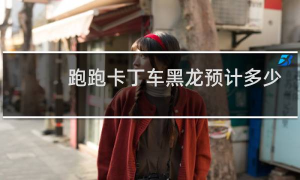 跑跑卡丁车黑龙预计多少