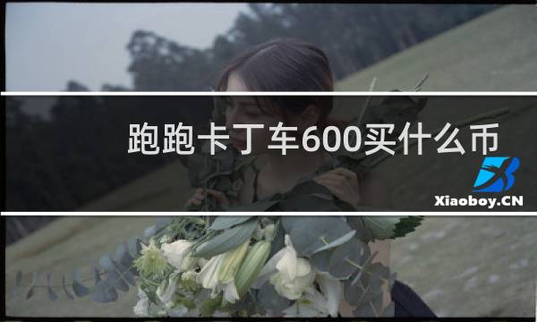 跑跑卡丁车600买什么币