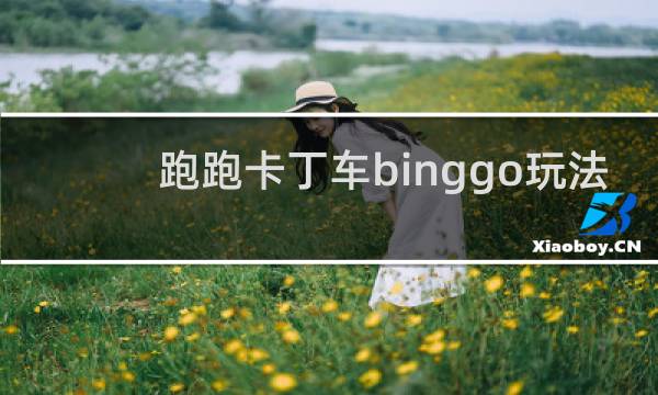 跑跑卡丁车binggo玩法